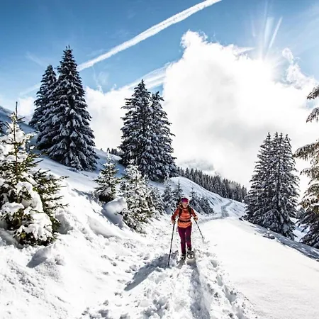 Chouta Cht5 Center & Telecabine 4pers Chatel